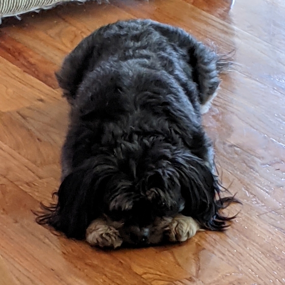 Closet Info - Picture 4 of 7